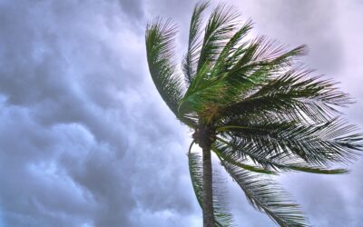 Things To Do Before A Hurricane Or Tropical Storm
